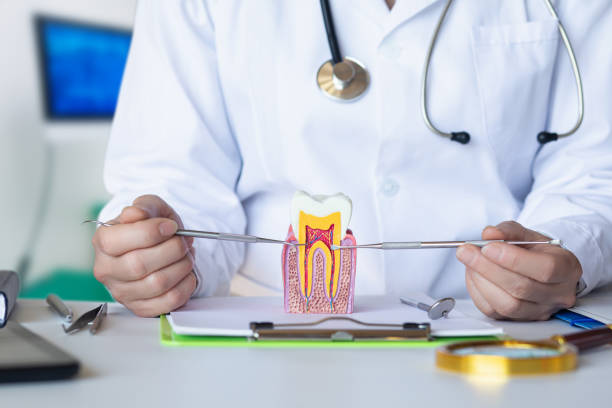 Best Weekend Emergency Dentist in Norton, KS